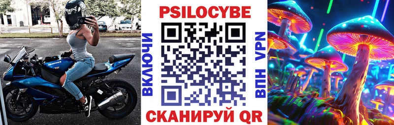 Псилоцибиновые грибы Psilocybine cubensis  Купить закладки  Гуково 